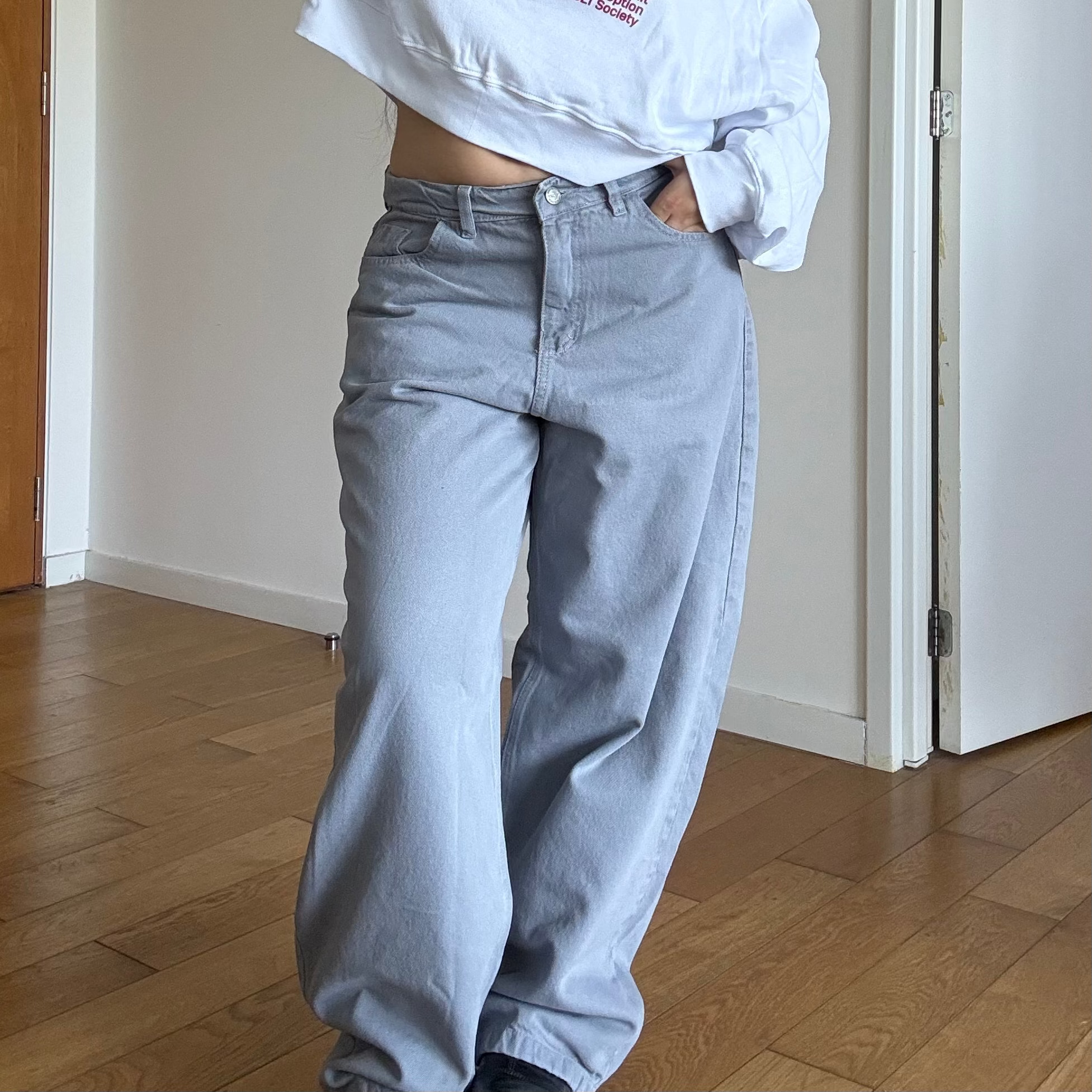 Jean Baggy Grey Washed